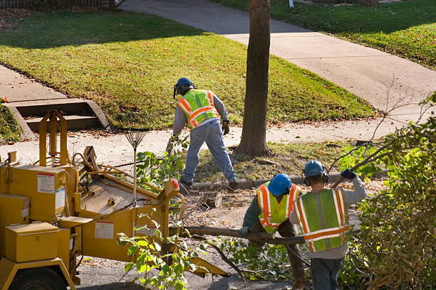 Best Commercial Tree Services  in Lexington, TN